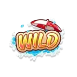 สัญลักษณ์รูป Wild